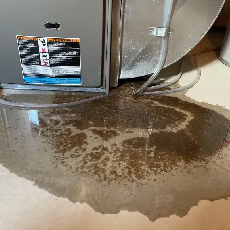 Appliance Leak Cleanup in Great Bend, KS